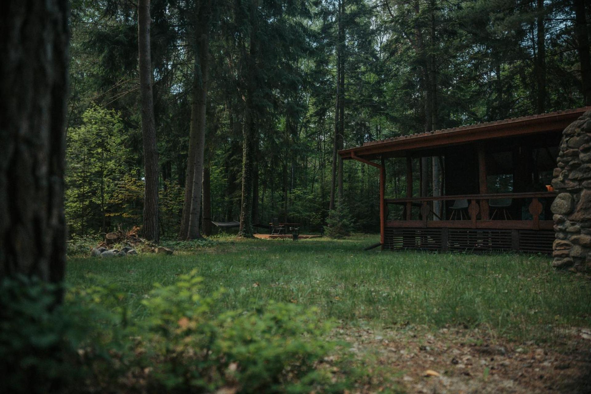 Forest Cabin - 50Min Od Warszawy Wola Polska Exterior photo
