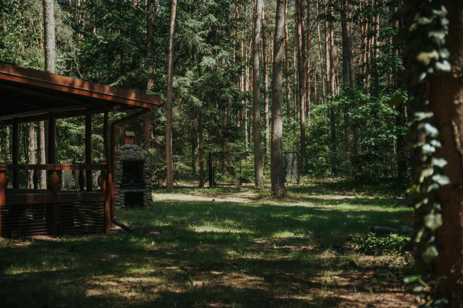Forest Cabin - 50Min Od Warszawy Wola Polska Exterior photo