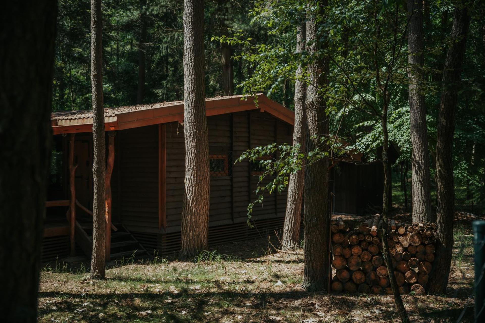 Forest Cabin - 50Min Od Warszawy Wola Polska Exterior photo