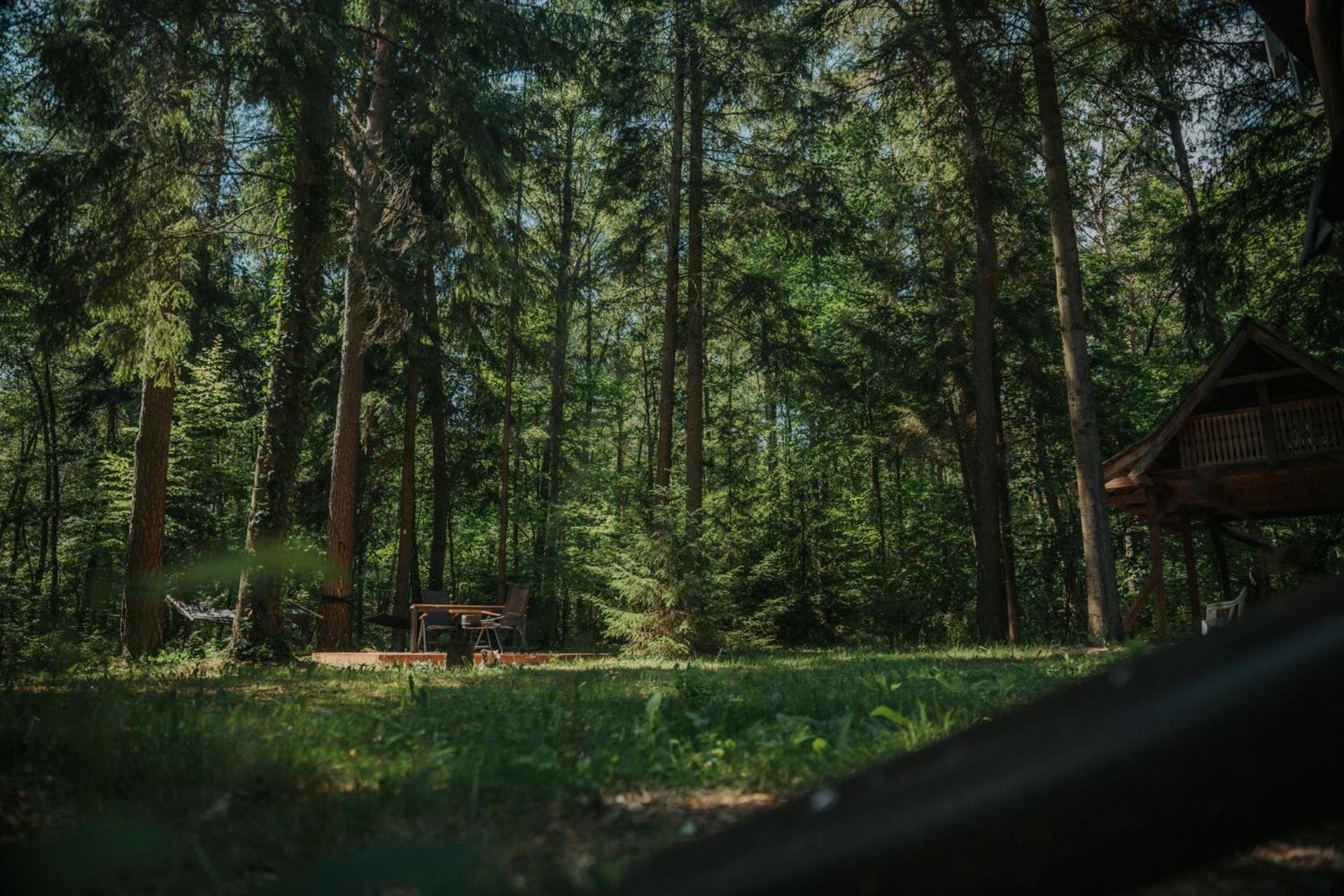 Forest Cabin - 50Min Od Warszawy Wola Polska Exterior photo