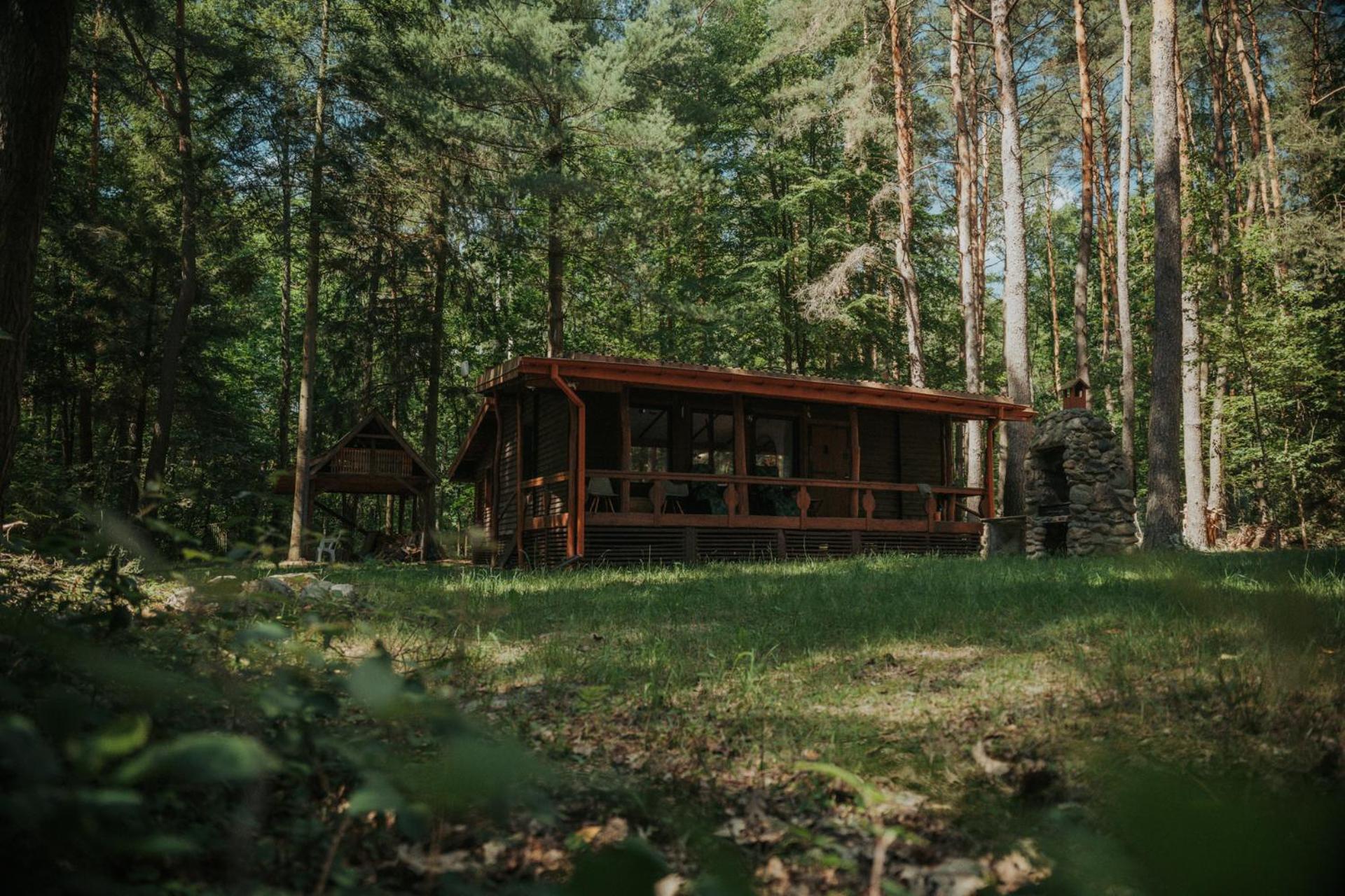 Forest Cabin - 50Min Od Warszawy Wola Polska Exterior photo