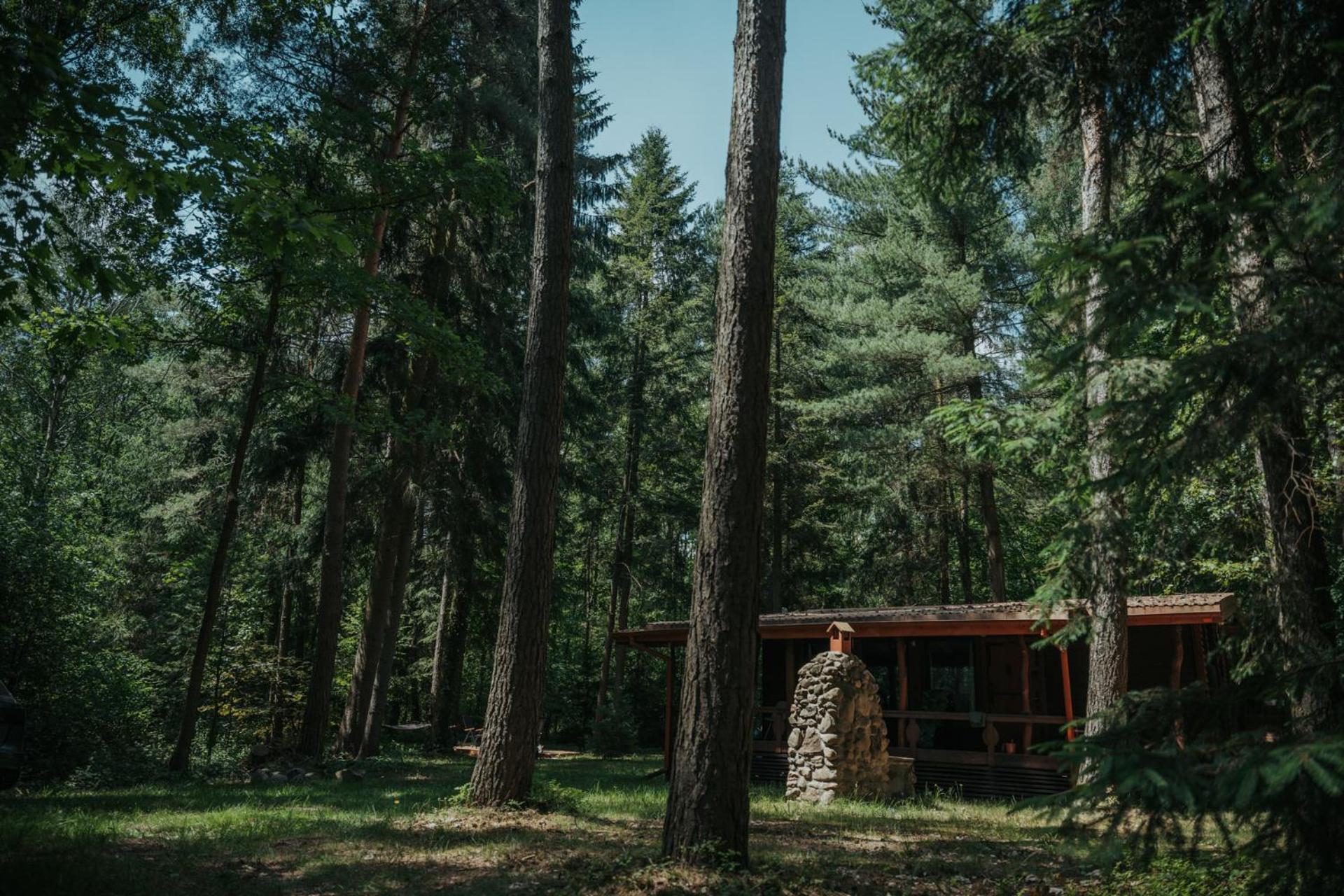 Forest Cabin - 50Min Od Warszawy Wola Polska Exterior photo
