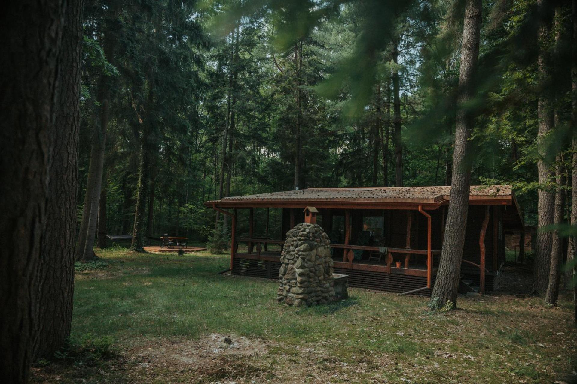 Forest Cabin - 50Min Od Warszawy Wola Polska Exterior photo