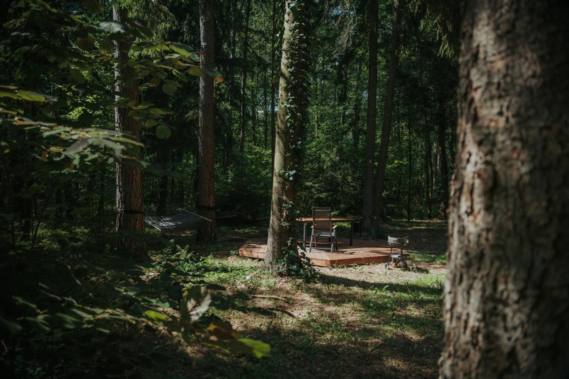 Forest Cabin - 50Min Od Warszawy Wola Polska Exterior photo