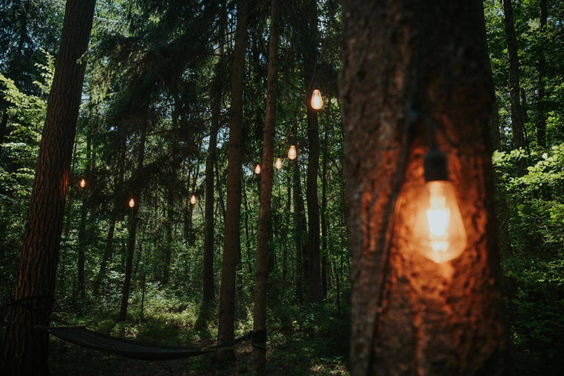 Forest Cabin - 50Min Od Warszawy Wola Polska Exterior photo