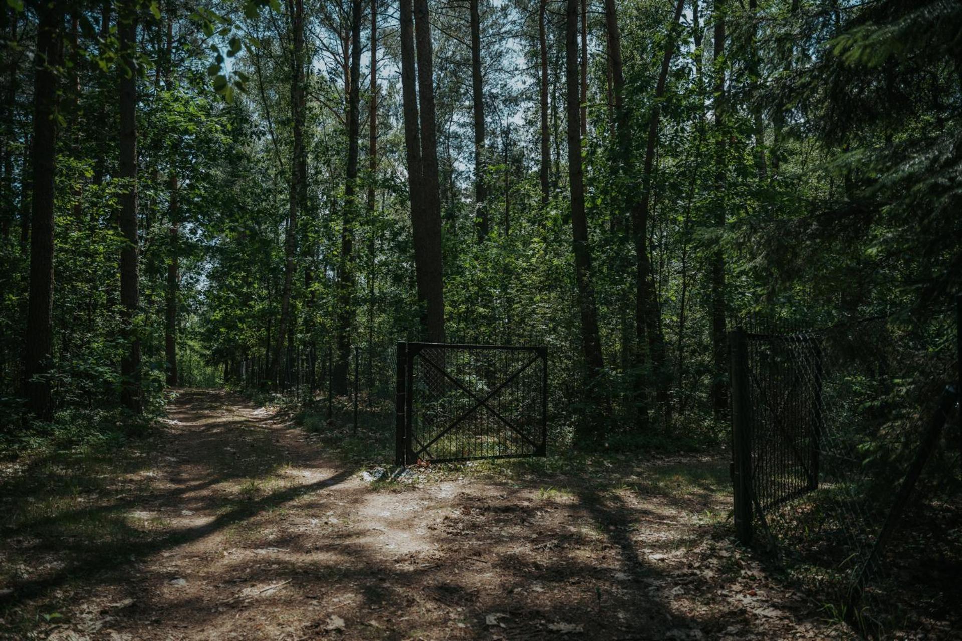 Forest Cabin - 50Min Od Warszawy Wola Polska Exterior photo